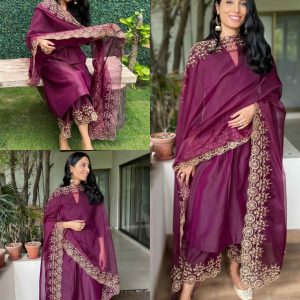 Trendy Embroidery Work Gown