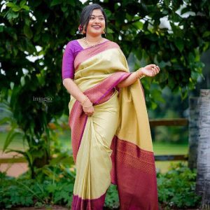 Trendy Saree