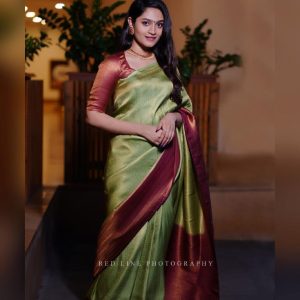 Trendy Saree