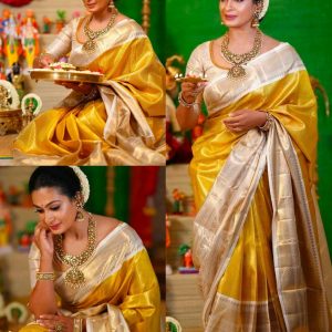 BANARASI SOFT PATTA NITA PATTU TISSUE SAREE