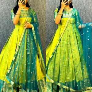 UPCOMING WEDDING SERIES GOWN WITH DUPPTA