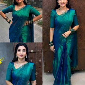 Trendy Beautiful Colour Saree