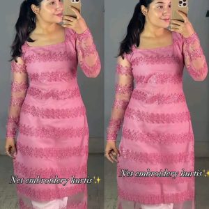 Trendy Net Embroidery kurti