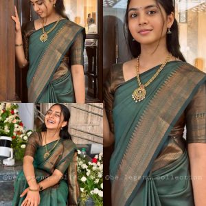Beautiful Kanjeevaram Silk Jacquard Saree With Rich Pallu