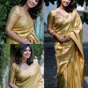 Kanjeevaram Silk Party Wear