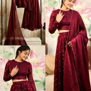 Beautiful Stunning Lehenga